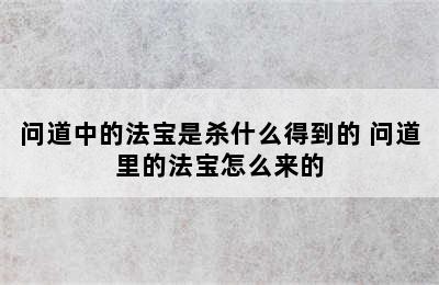 问道中的法宝是杀什么得到的 问道里的法宝怎么来的